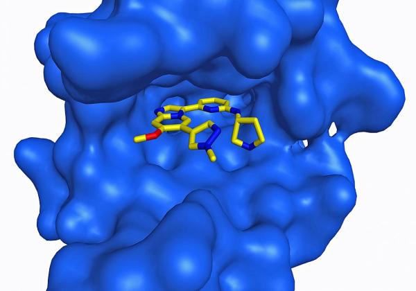 The chemical structure of a prospective drug sitting inside the protein kinase IRAK4