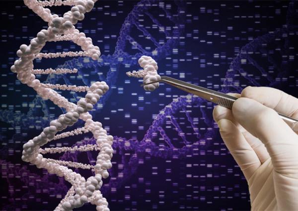 a piece of DNA being removed from a DNA molecule