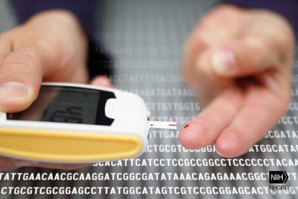 A team of researchers at NIH’s campus in Phoenix, Arizona, is working with the local American Indian community to learn about genetic risk factors for type 2 diabetes.