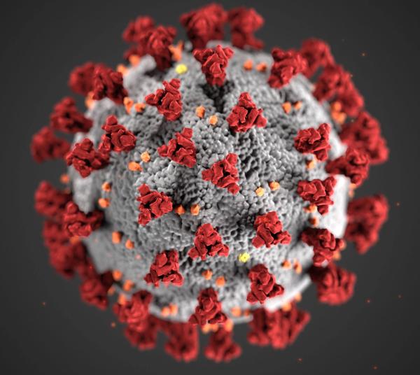 SARS-CoV-2 virus particle