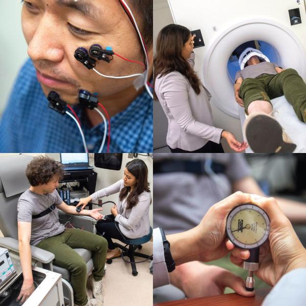 collage of researchers working with volunteers