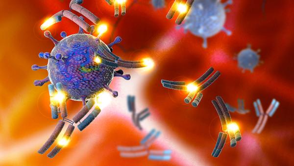 antibodies combatting viral particles