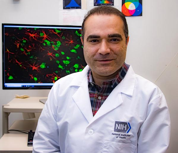 Dr. Shahriar SheikhBahaei