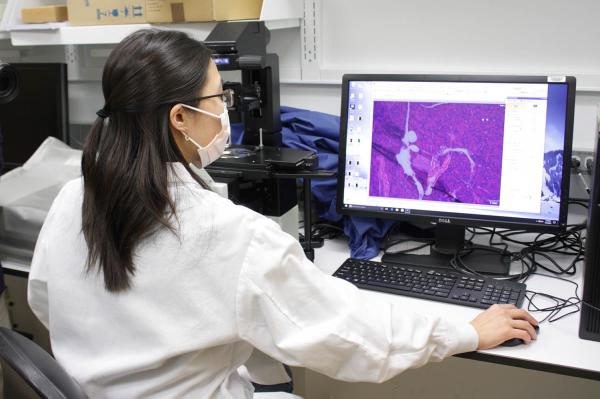 Postdoctoral fellow Allison Wing uses a microscope to get a close-up look at tissue from a mouse’s pancreas