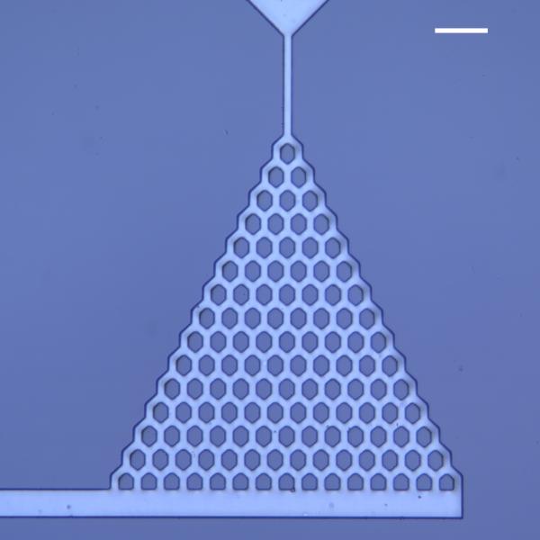 triangle shaped network of engineered capillaries