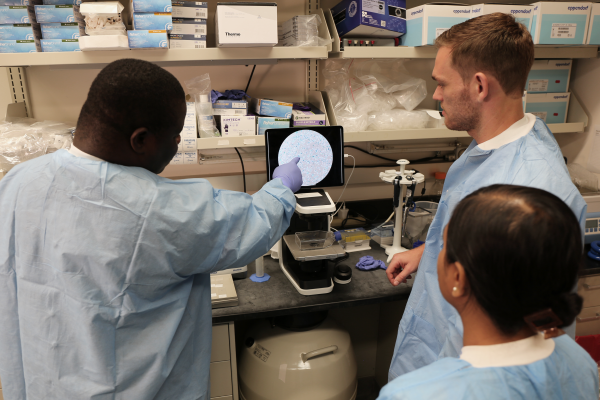 Dr. Nathan Basisty and two of his lab members look at senescent cells under a microscope