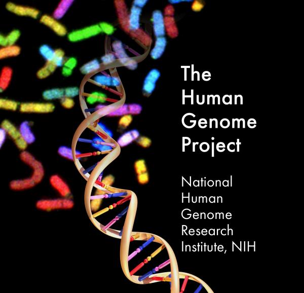 NHGRI Human Genome Project logo showing DNA and chromosomes