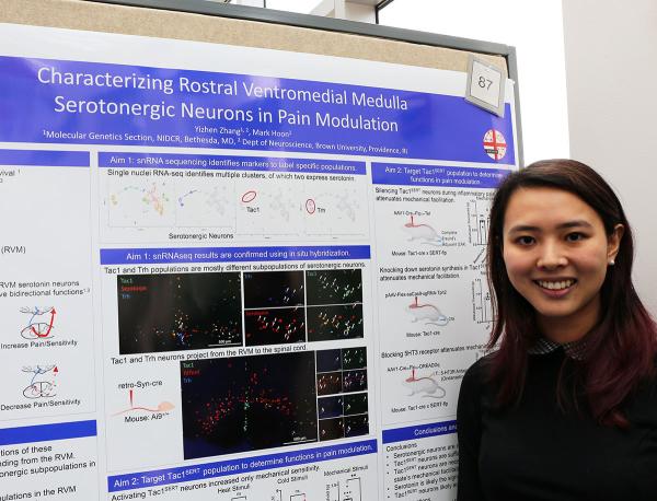 IRP graduate student Yizhen Zhang poses with her scientific poster