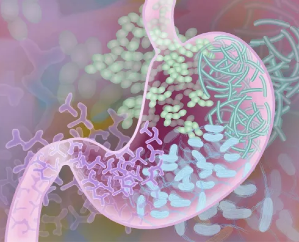 illustration of microbes in the digestive system