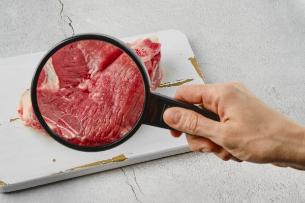 examining a raw steak with a magnifying glass