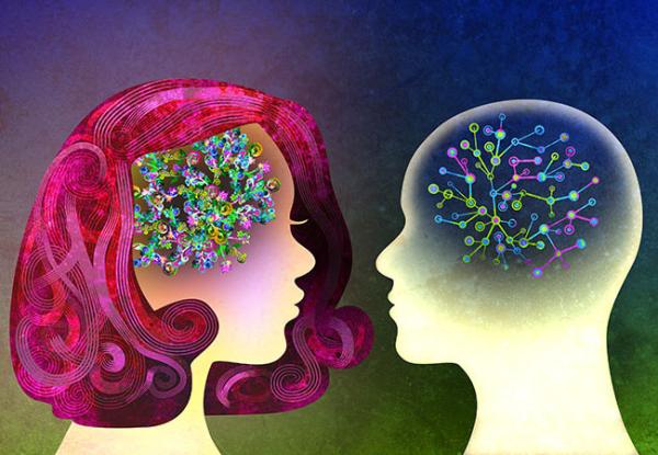 illustration of connections in the brains of a man and a woman