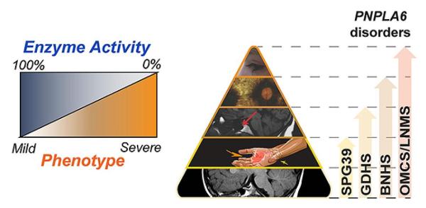 chart and graph illustrating genetic neurodegenerative conditions