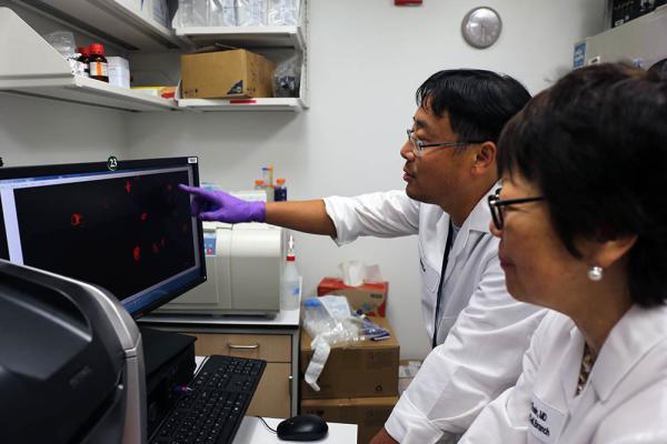 Dr. Swee Lay Thein discusses images of cells with staff scientist Kang Le