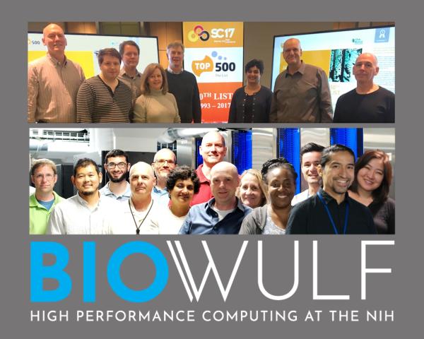 CIT staff photos with BioWulf logo