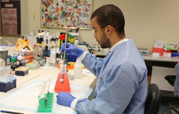 Graduate student Vagner Dias Raimundo uses a magnetic rod to collect proteins in a flask that are attached to tiny magnetic beads