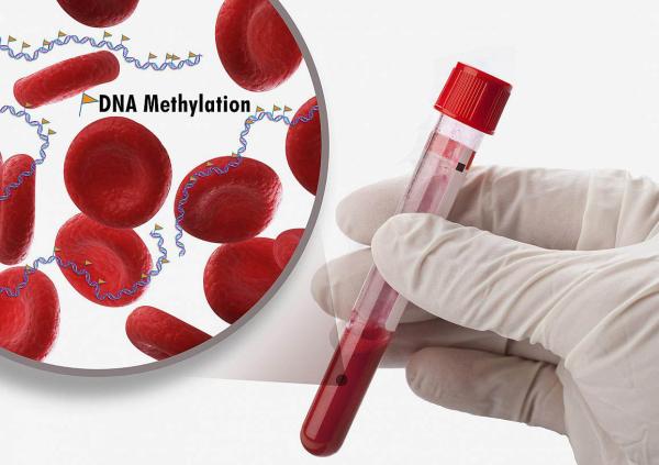 blood vial and diagram showing DNA methylation markers on DNA molecules