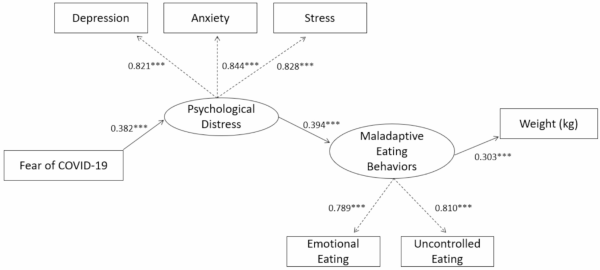 The path model from psychological distress to weight gain through maladaptive eating behaviors.