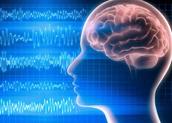 human head with brain visible next to EEG recordings