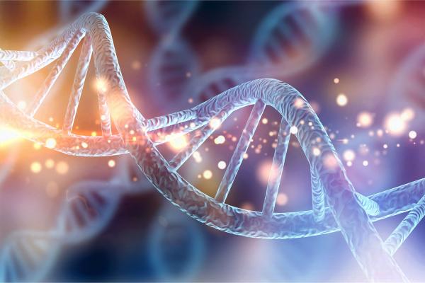DNA molecule