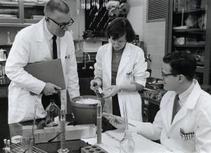 researchers working in the lab