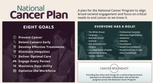 national cancer plan