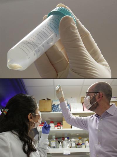 top: close-up view of a mouse liver preserved in a test tube. Bottom: Dr. Rotman and postdoctoral fellow Lila González-Hódar examine the mouse liver.