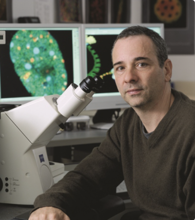 Andre Nussenzweig sitting by a microscope