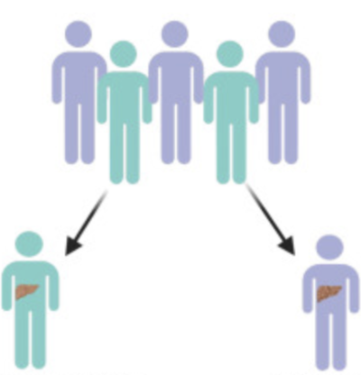 illustration of two groups of patients with liver disease