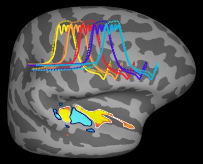 graphic of brain with rainbow colored waves through it