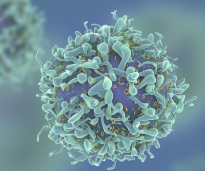 a virus