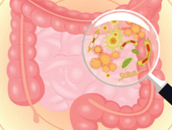 cartoon image of the gut microbiome showing microbes in the digestive tract